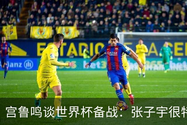 宫鲁鸣谈世界杯备战：张子宇很特殊，希望海外球员早日归队